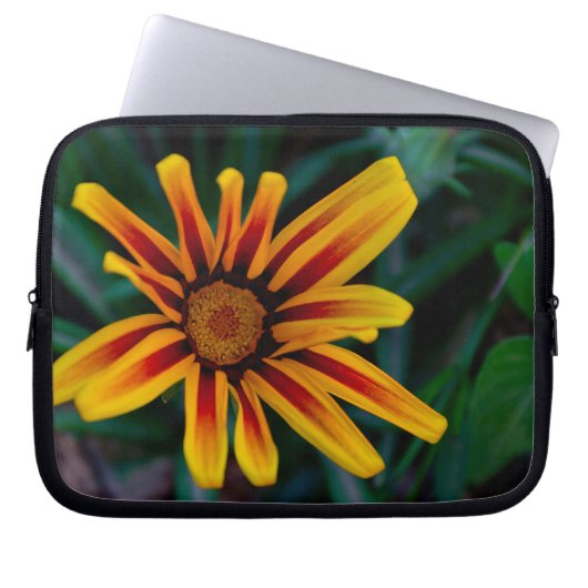 Blume Gazania Laptopschutzhülle (Vorderseite)