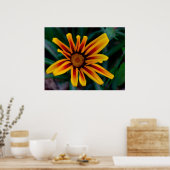 Blume Gazania Poster (Küche)