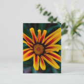 Blume Gazania Postkarte (Stehend Vorderseite)
