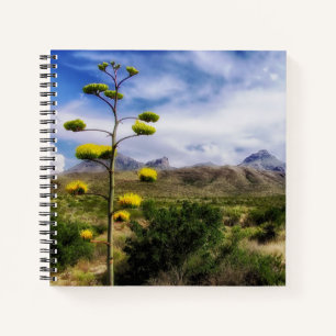 Blume, Gebirgskette Big Bend Nationalpark Notizblock