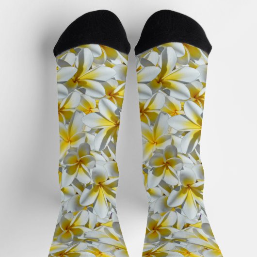 Blume, gelb und weiß, Frangipani, Crews Socken (Oben)
