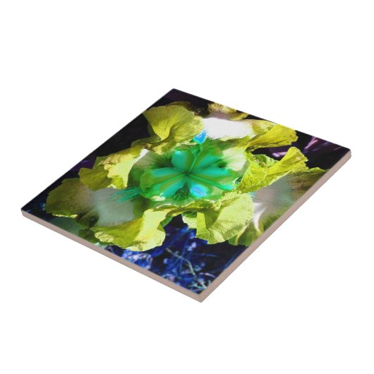 Blume Gelb, Weiß und Grün Iris Fliese (Seite)