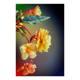 Blume, Gelbblumen, Petalen Poster