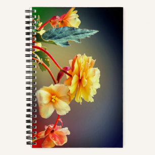 Blume, gelbe Blumen, Petalen-63158 Notizblock