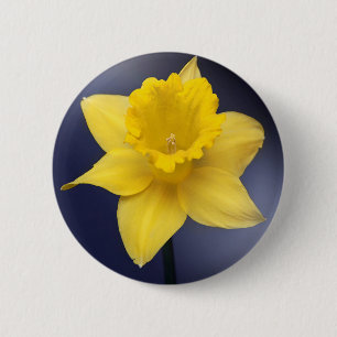 Blume Gelbe Narzisse Aquarellfarbe Button