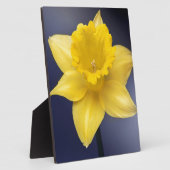 Blume Gelbe Narzisse Aquarellfarbe Fotoplatte (Seite)