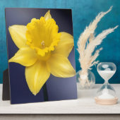 Blume Gelbe Narzisse Aquarellfarbe Fotoplatte (Seite)