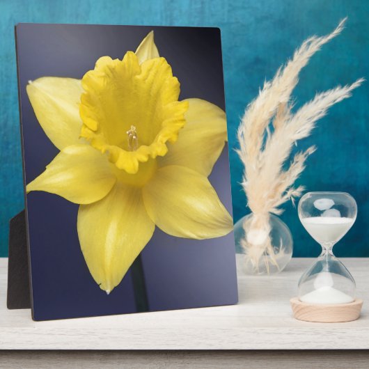 Blume Gelbe Narzisse Aquarellfarbe Fotoplatte (Seite)