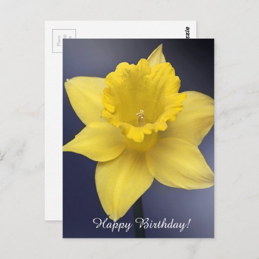 Blume Gelbe Narzisse Aquarellfarbe Postkarte (Vorne/Hinten)