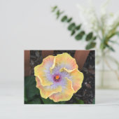 Blume Gelber Hibiskus Botanisch fotografisch Postkarte (Stehend Vorderseite)