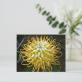 Blume Gelbes Pinsel Postkarte (Stehend Vorderseite)