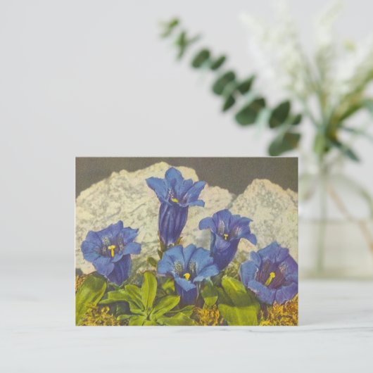 Blume Gentian Postkarte (Stehend Vorderseite)
