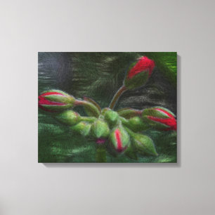 Blume Geranium Buds Leinwanddruck