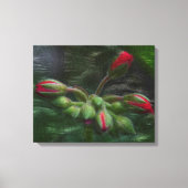 Blume Geranium Buds Leinwanddruck (Vorderseite)