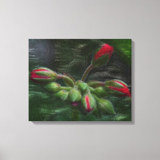Blume Geranium Buds Leinwanddruck (Vorderseite)