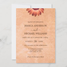 Blume Gerbera auf der Abstrakten Pfirsichhochzeit