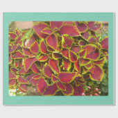 Blume Geschenkpapier (Flach)