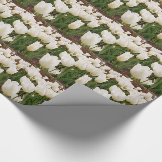 Blume Geschenkpapier (Ecke)