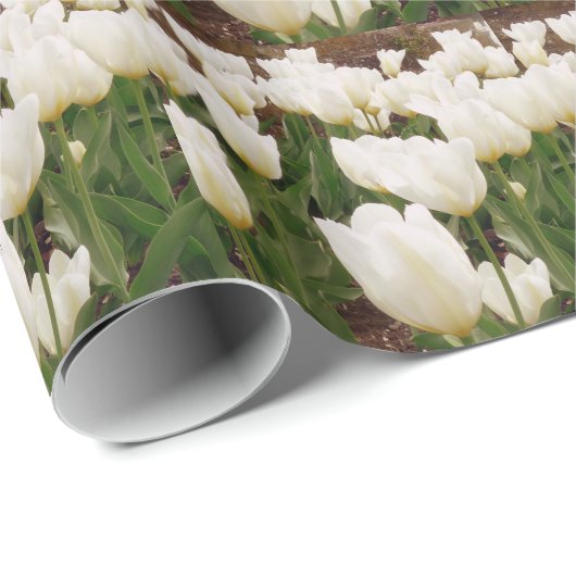 Blume Geschenkpapier (Rolleneckpunkt)