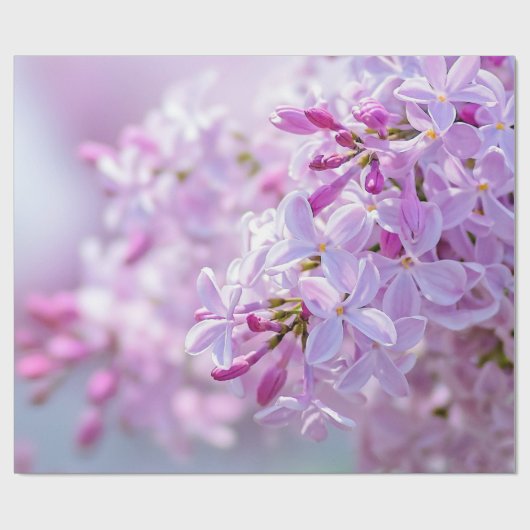 Blume Geschenkpapier (Flach)