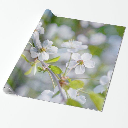 Blume Geschenkpapier (Ungerollt)