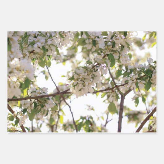 Blume Geschenkpapier Set (Vorderseite 2)