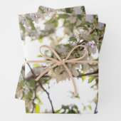 Blume Geschenkpapier Set (Beispiel)