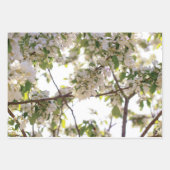 Blume Geschenkpapier Set (Vorderseite 3)