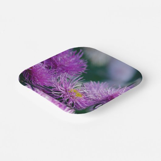 Blume-Geschichten/Aster-Blume Pappteller (Gewinkelt)