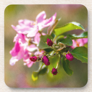 Blume Getränkeuntersetzer
