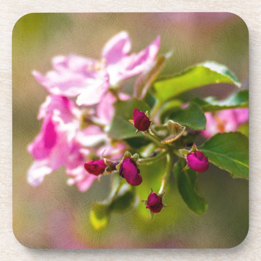 Blume Getränkeuntersetzer (Vorderseite)