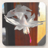 Blume Getränkeuntersetzer (Vorderseite)