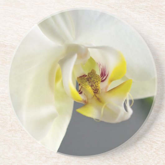 Blume Getränkeuntersetzer (Vorne)
