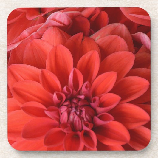 Blume Getränkeuntersetzer (Vorderseite)