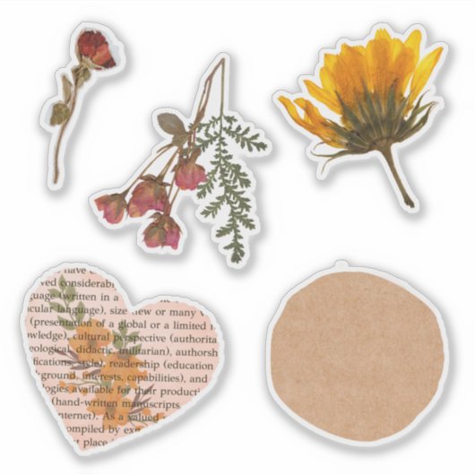 Blume, getrocknet, Aufkleber fünf (Vorderseite)