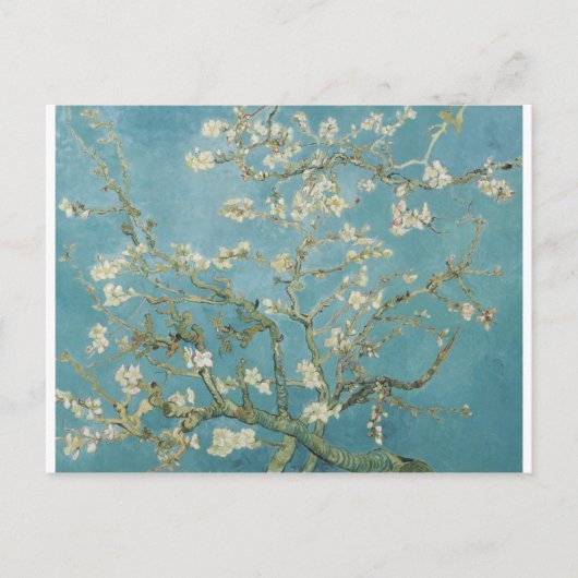 Blume Gogh Branches Almond Blüten Natur Postkarte (Vorderseite)