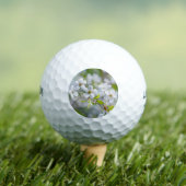 Blume Golfball (Insitu T-Shirt)