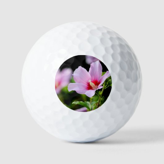 BLUME GOLFBALL (Vorderseite)