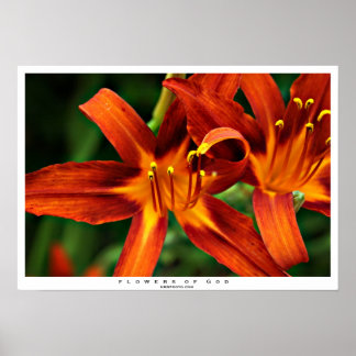 Blume Gottes Poster