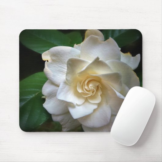 Blume Gröden Mousepad (Mit Mouse)