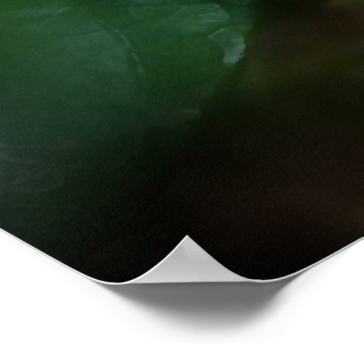 Blume Gröden Poster (Ecke)