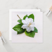 Blume Grödnerjoch Postkarte (Vorderseite/Rückseite Beispiel)