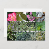 Blume-Grün-Grün-Frühling-Frühstück Postkarte (Vorne/Hinten)