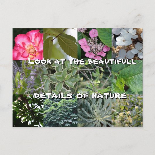 Blume-Grün-Grün-Frühling-Frühstück Postkarte (Vorderseite)