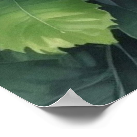 Blume Grüne Weinroute Mendrisiotto Poster (Ecke)