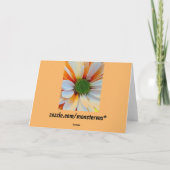 Blume Grußkarte Karte (Rückseite)