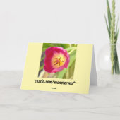 Blume Grußkarte Karte (Rückseite)