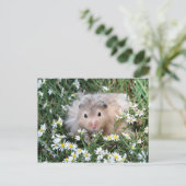 Blume Hamster Postkarte (Stehend Vorderseite)