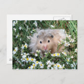 Blume Hamster Postkarte (Vorne/Hinten)
