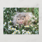 Blume Hamster Postkarte (Vorderseite)